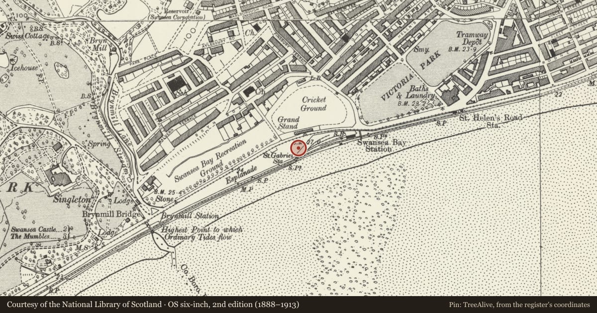 Ordnance Survey six-inch map, 2nd edition (1888–1913) covering the location of Memorial to S African War, Uplands, Swansea, with a pin at the register's coordinates