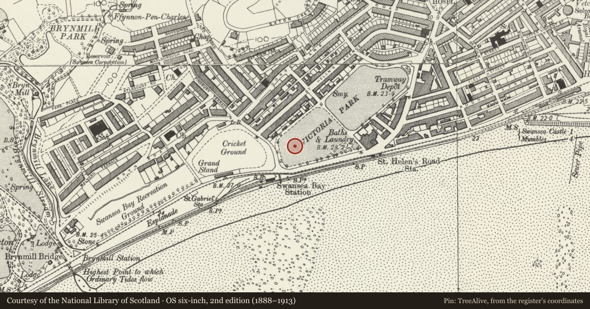 Ordnance Survey six-inch map, 2nd edition (1888–1913) covering the location of Statue of William Thomas in Victoria Park, Uplands, Swansea, with a pin at the register's coordinates