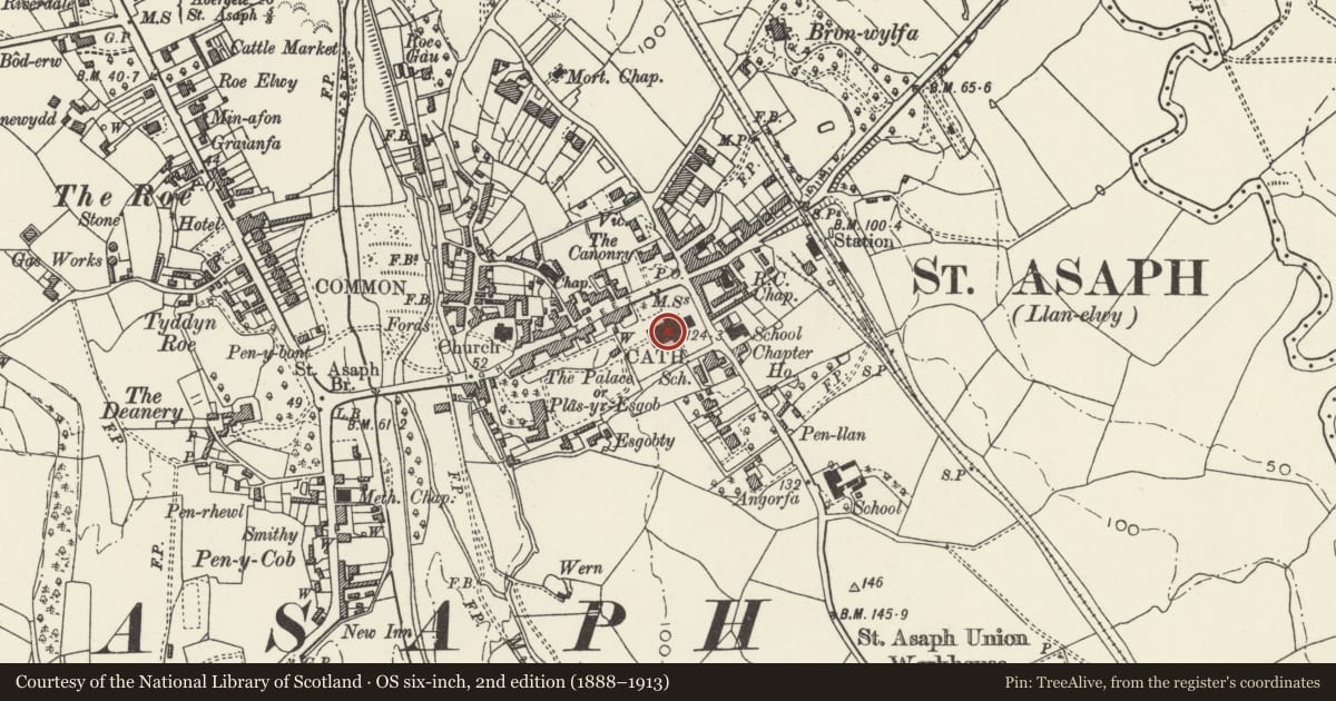 Ordnance Survey six-inch map, 2nd edition (1888–1913) covering the location of Cathedral Church of St. Asaph, Denbighshire, with a pin at the register's coordinates