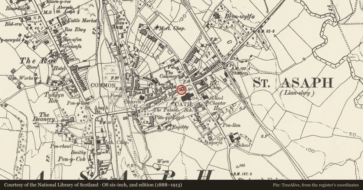 Ordnance Survey six-inch map, 2nd edition (1888–1913) covering the location of Translator's Memorial, St. Asaph, Denbighshire, with a pin at the register's coordinates