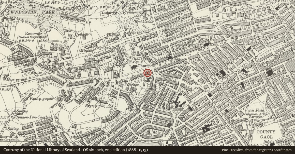 Ordnance Survey six-inch map, 2nd edition (1888–1913) covering the location of 65 Walter Road, Uplands, Swansea, with a pin at the register's coordinates