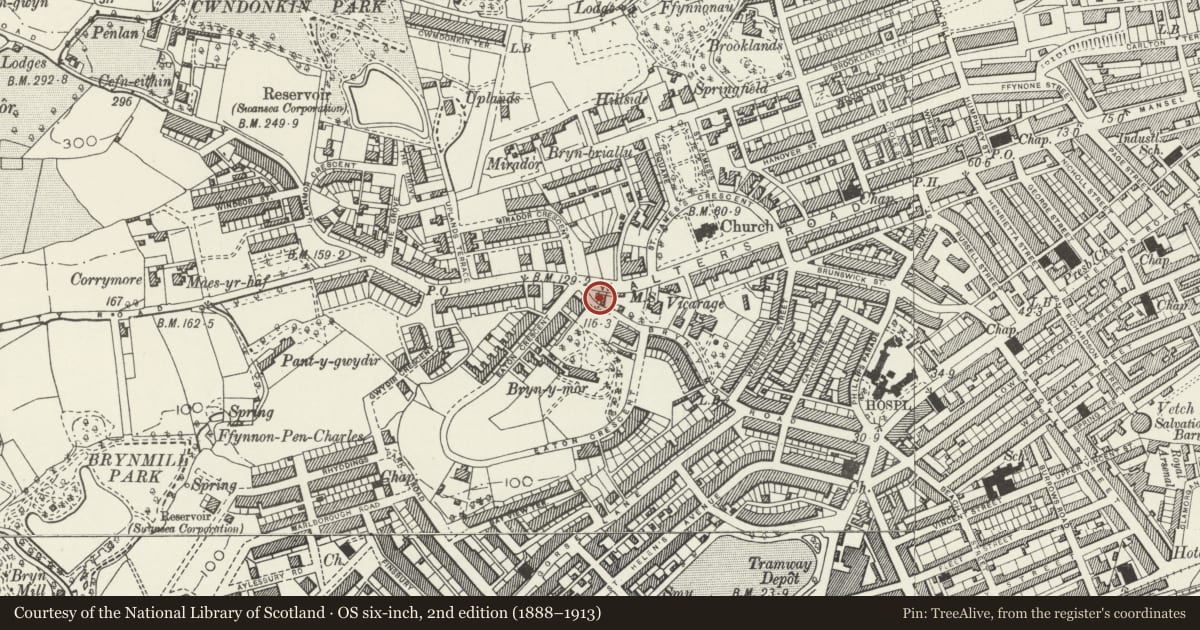 Ordnance Survey six-inch map, 2nd edition (1888–1913) covering the location of Ffynone Villa, Uplands, Swansea, with a pin at the register's coordinates
