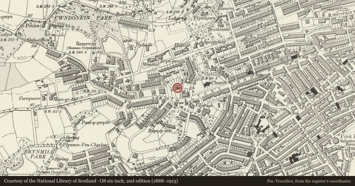 Ordnance Survey six-inch map, 2nd edition (1888–1913) covering the location of Belgrave Gardens, Uplands, Swansea, with a pin at the register's coordinates
