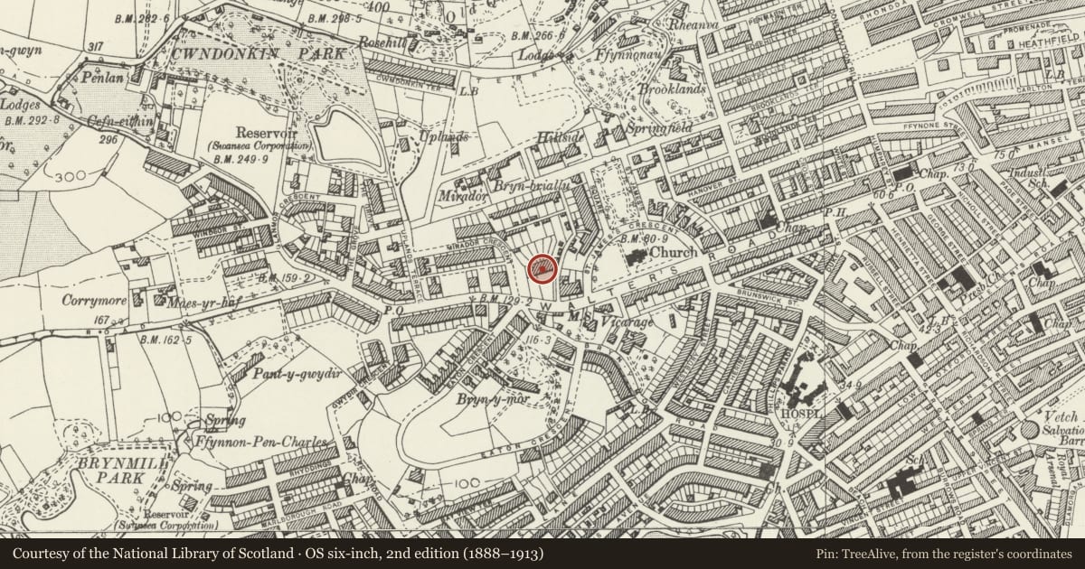 Ordnance Survey six-inch map, 2nd edition (1888–1913) covering the location of Belgrave Gardens, Uplands, Swansea, with a pin at the register's coordinates