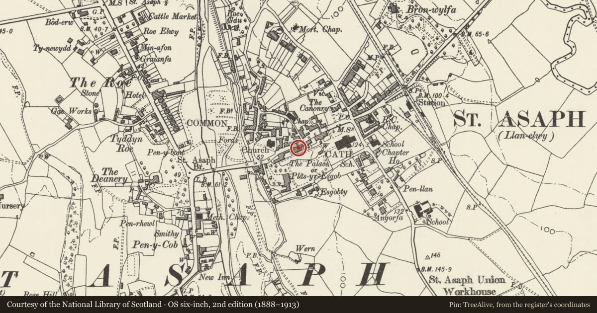 Ordnance Survey six-inch map, 2nd edition (1888–1913) covering the location of Elwy Bank including D.P. Nash, St. Asaph, Denbighshire, with a pin at the register's coordinates