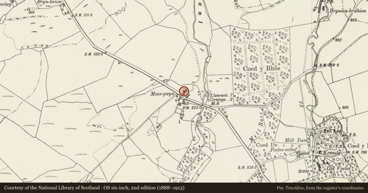 Ordnance Survey six-inch map, 2nd edition (1888–1913) covering the location of Cowhouse at Maes-gwyn, Pentrefoelas, Conwy, with a pin at the register's coordinates