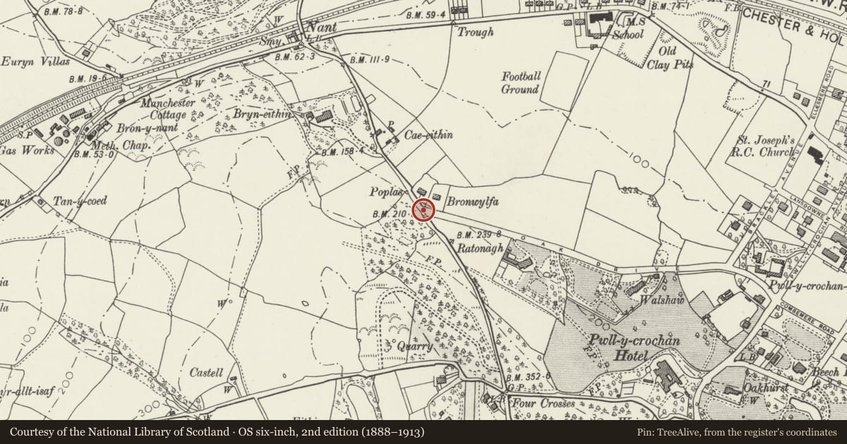 Ordnance Survey six-inch map, 2nd edition (1888–1913) covering the location of Fountain, Colwyn Bay, Conwy, with a pin at the register's coordinates
