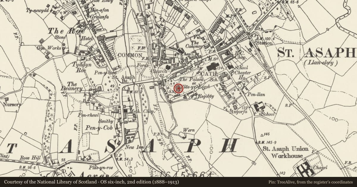 Ordnance Survey six-inch map, 2nd edition (1888–1913) covering the location of The Old Palace, St. Asaph, Denbighshire, with a pin at the register's coordinates
