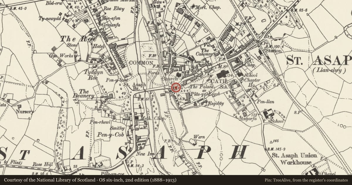 Ordnance Survey six-inch map, 2nd edition (1888–1913) covering the location of Lodge & Gatepiers at driveway to the Old Palace, St. Asaph, Denbighshire, with a pin at the register's coordinates