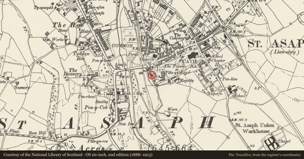 Ordnance Survey six-inch map, 2nd edition (1888–1913) covering the location of Palace Gardens, St. Asaph, Denbighshire, with a pin at the register's coordinates