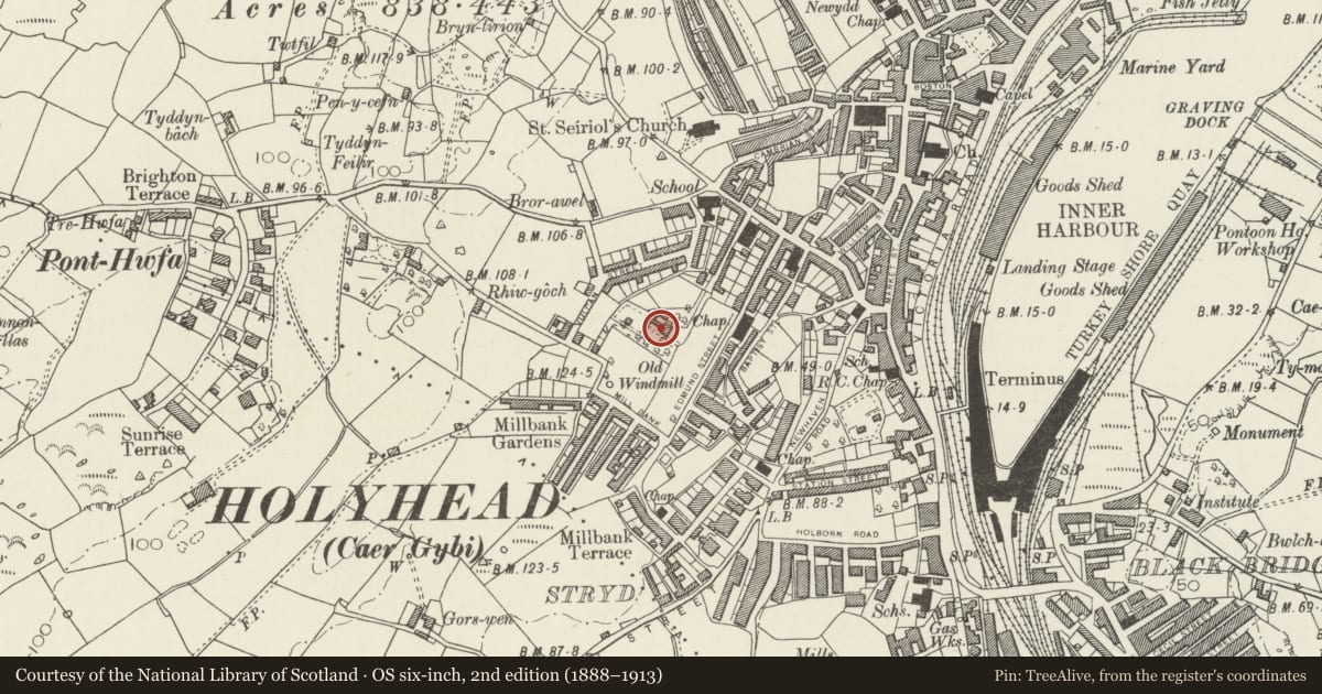 Ordnance Survey six-inch map, 2nd edition (1888–1913) covering the location of Ty'n Parc, Holyhead, Isle of Anglesey, with a pin at the register's coordinates
