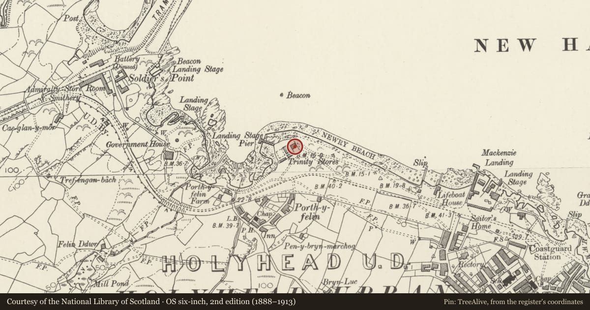 Ordnance Survey six-inch map, 2nd edition (1888–1913) covering the location of Trinity House Office, Holyhead, Isle of Anglesey, with a pin at the register's coordinates