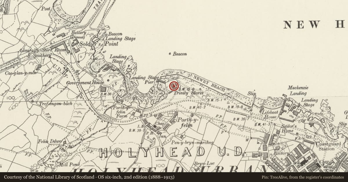 Ordnance Survey six-inch map, 2nd edition (1888–1913) covering the location of Trinity Yard Large Workshop, Holyhead, Isle of Anglesey, with a pin at the register's coordinates