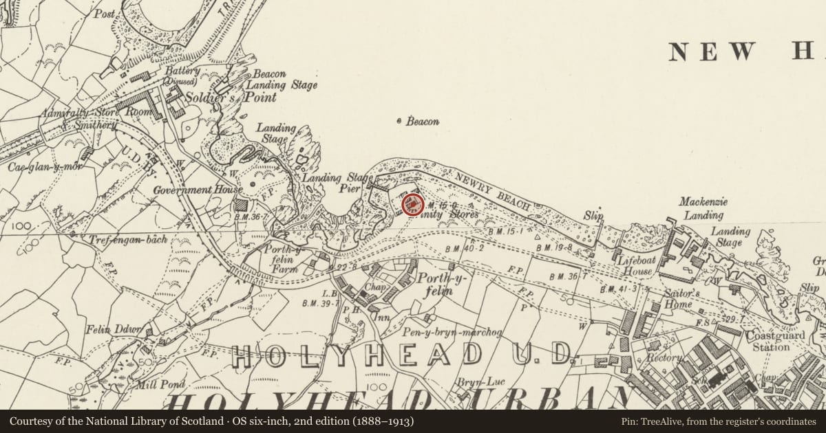 Ordnance Survey six-inch map, 2nd edition (1888–1913) covering the location of Trinity Yard Small Workshop, Holyhead, Isle of Anglesey, with a pin at the register's coordinates