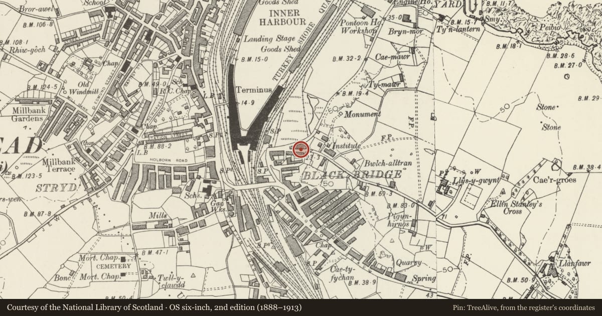Ordnance Survey six-inch map, 2nd edition (1888–1913) covering the location of Tanalltran Cottages, Holyhead, Isle of Anglesey, with a pin at the register's coordinates