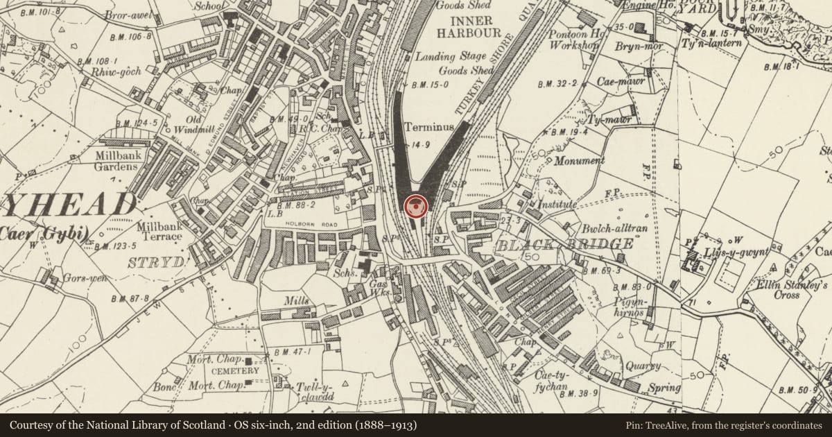 Ordnance Survey six-inch map, 2nd edition (1888–1913) covering the location of Clock Turret in Station Approach, Holyhead, Isle of Anglesey, with a pin at the register's coordinates