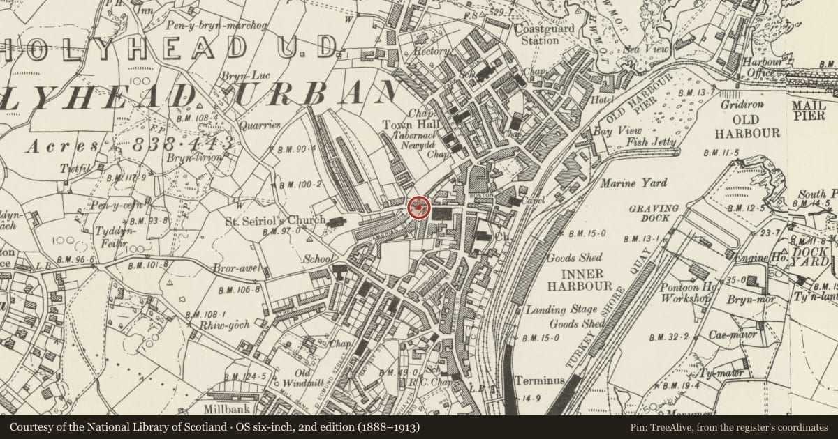 Ordnance Survey six-inch map, 2nd edition (1888–1913) covering the location of Caernarfon Castle P H, Holyhead, Isle of Anglesey, with a pin at the register's coordinates