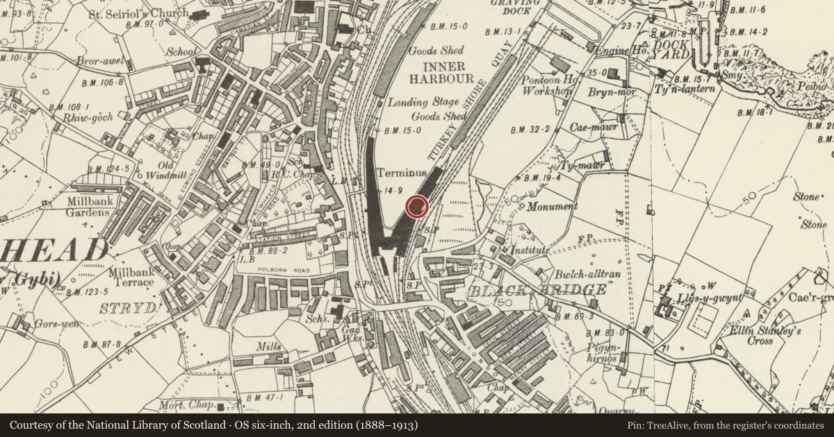 Ordnance Survey six-inch map, 2nd edition (1888–1913) covering the location of Train Shed at Holyhead Station, Isle of Anglesey, with a pin at the register's coordinates