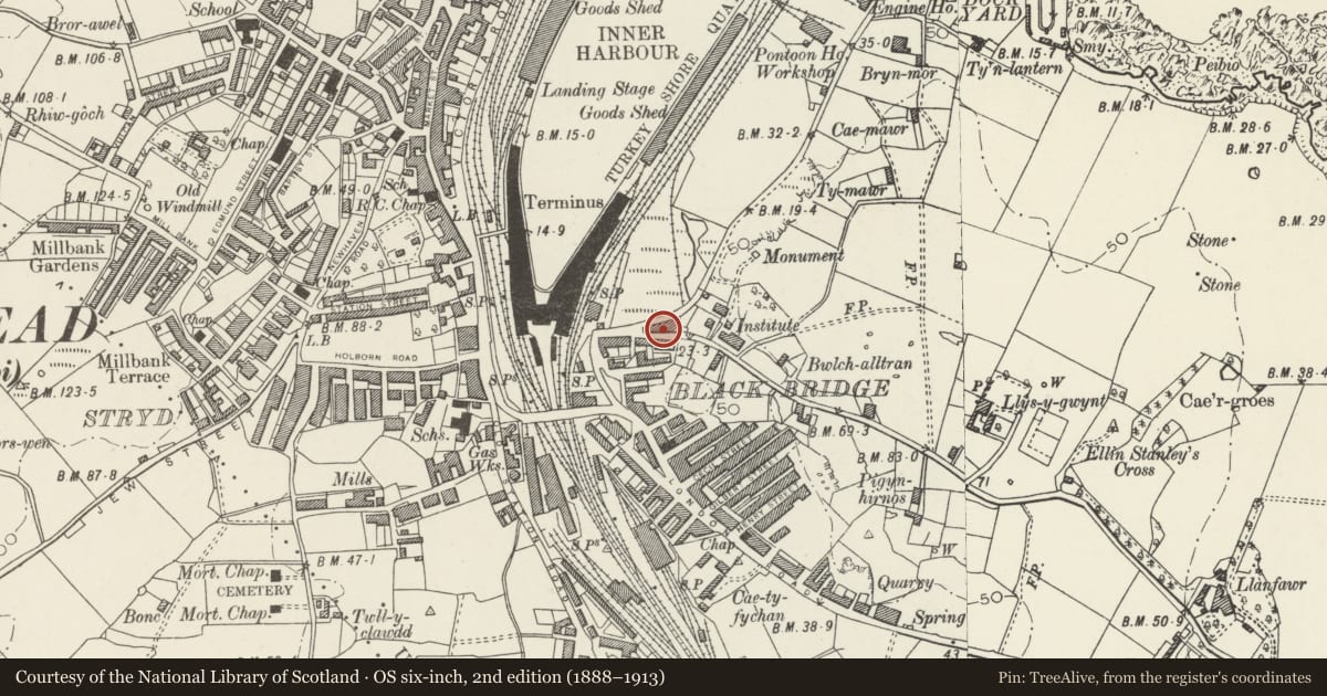 Ordnance Survey six-inch map, 2nd edition (1888–1913) covering the location of 2 Turkey Shore Road, Holyhead, Isle of Anglesey, with a pin at the register's coordinates