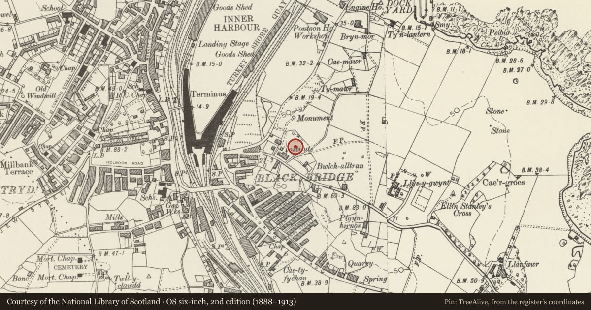 Ordnance Survey six-inch map, 2nd edition (1888–1913) covering the location of Pillbox near Skinner's Monument, Holyhead, Isle of Anglesey, with a pin at the register's coordinates