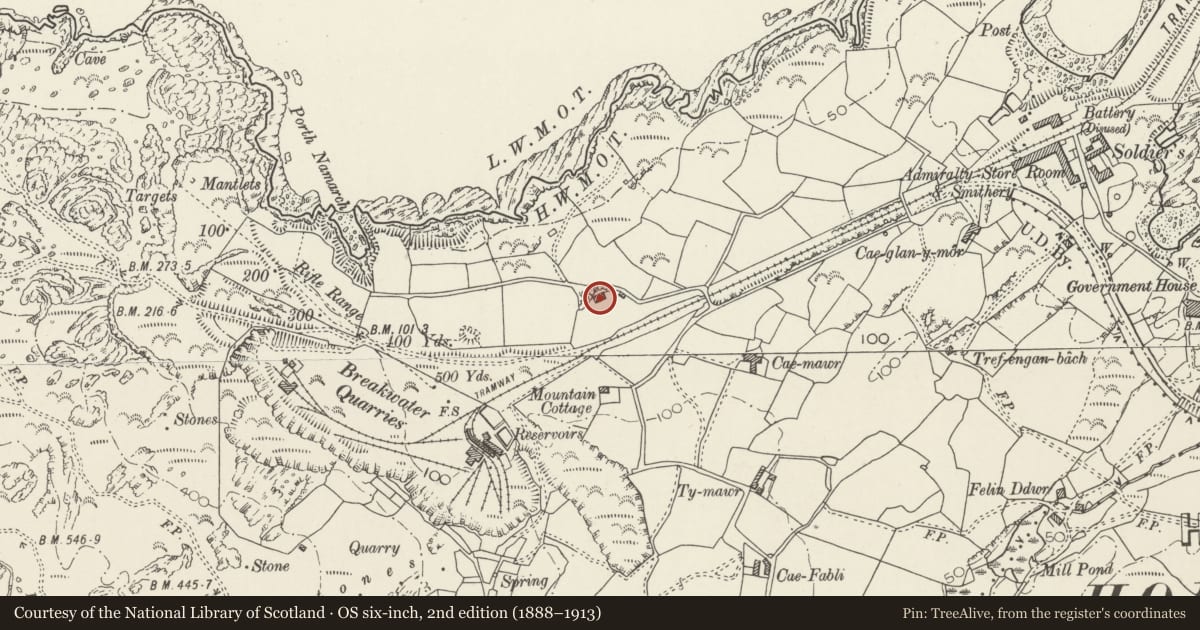 Ordnance Survey six-inch map, 2nd edition (1888–1913) covering the location of Gunpowder Magazine, Holyhead, Isle of Anglesey, with a pin at the register's coordinates