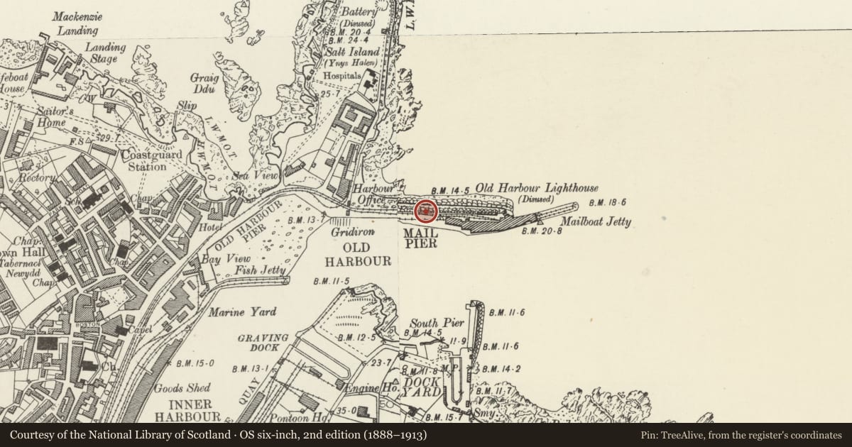 Ordnance Survey six-inch map, 2nd edition (1888–1913) covering the location of Admirlaty Pier (including Sea Wall between Salt Island Bridgea and George IV Arch), Holyhead, Isle of Anglesey, with a pin at the register's coordinates