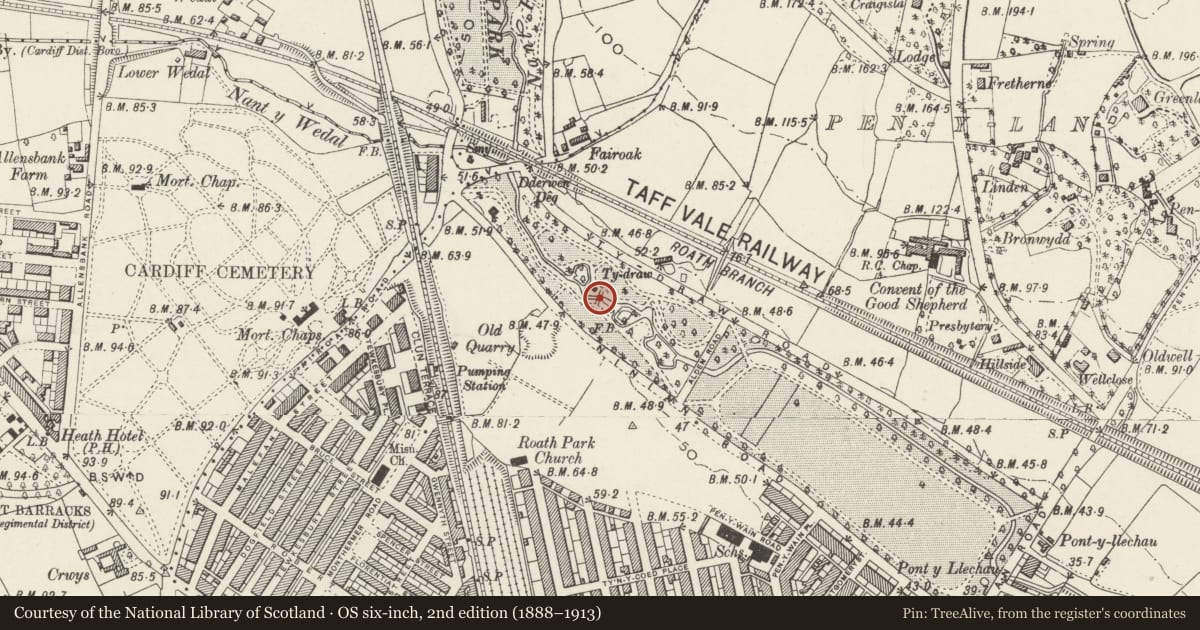 Ordnance Survey six-inch map, 2nd edition (1888–1913) covering the location of Footbridge over Roath Brook in Roath Park Pleasure Gardens, Cardiff, with a pin at the register's coordinates