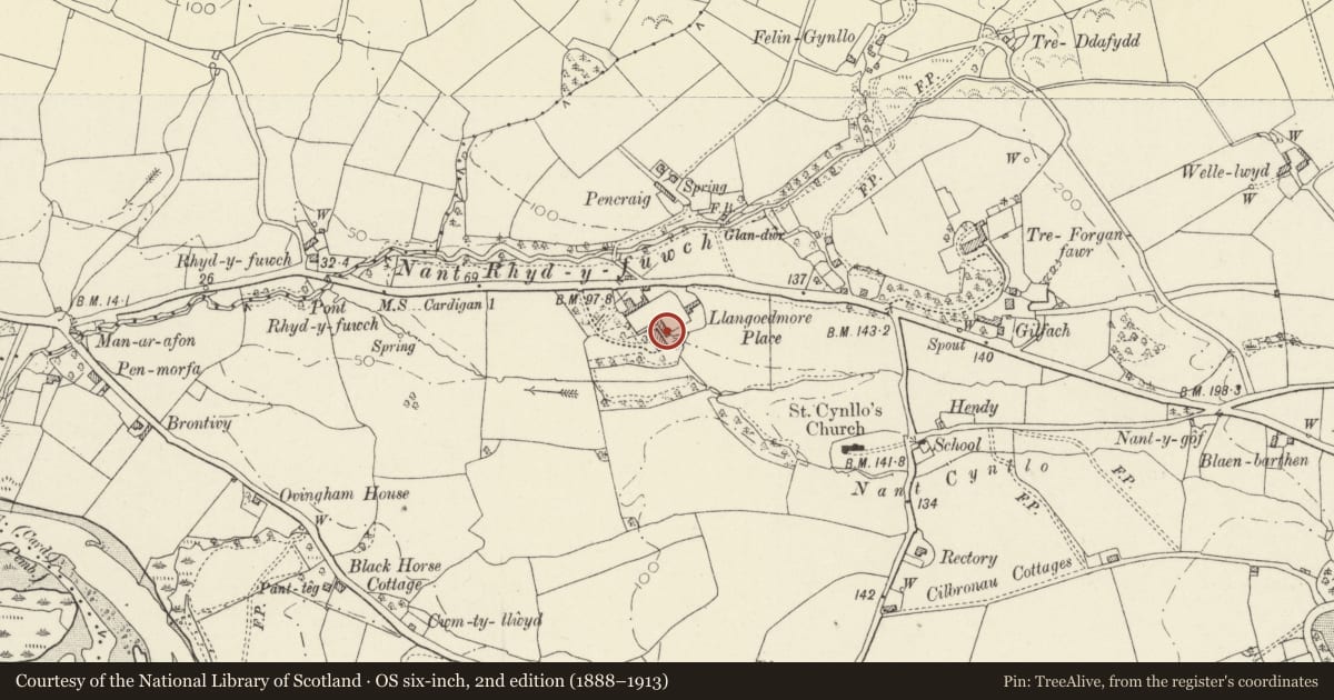 Ordnance Survey six-inch map, 2nd edition (1888–1913) covering the location of Outbuilding to rear of Plas Llangoedmor, Ceredigion, with a pin at the register's coordinates