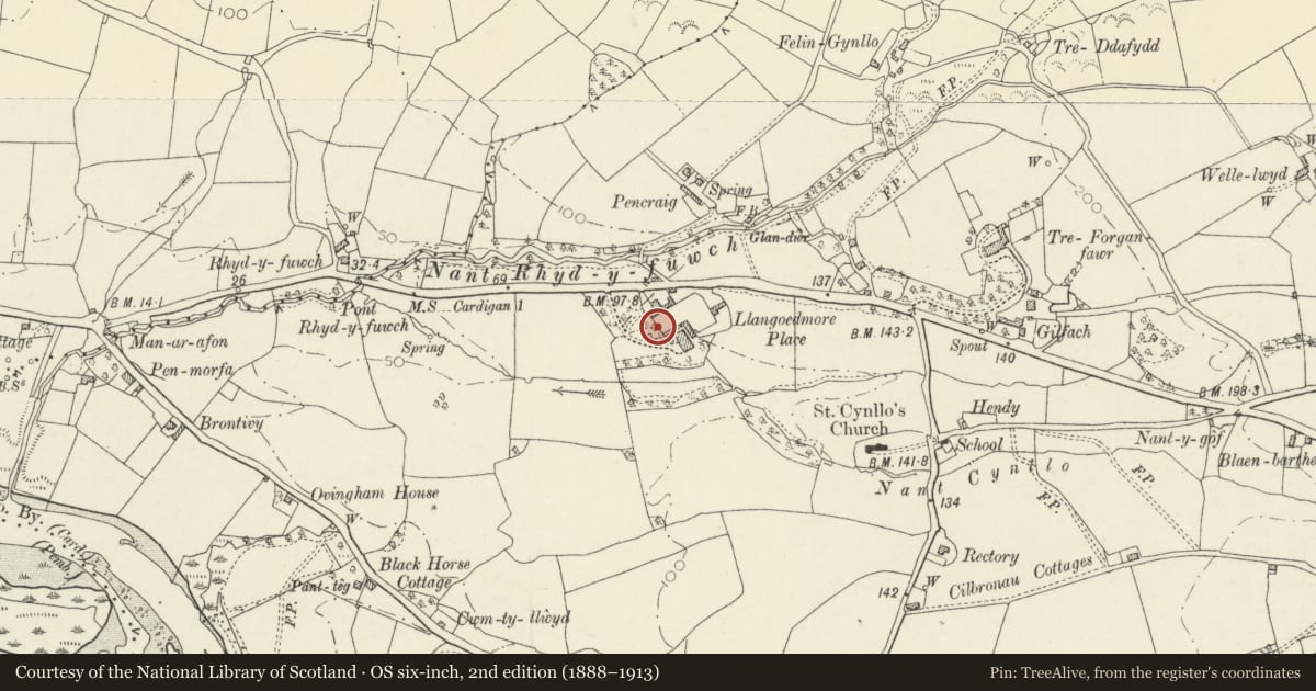 Ordnance Survey six-inch map, 2nd edition (1888–1913) covering the location of Walled Garden at Plas Llangoedmor, Ceredigion, with a pin at the register's coordinates