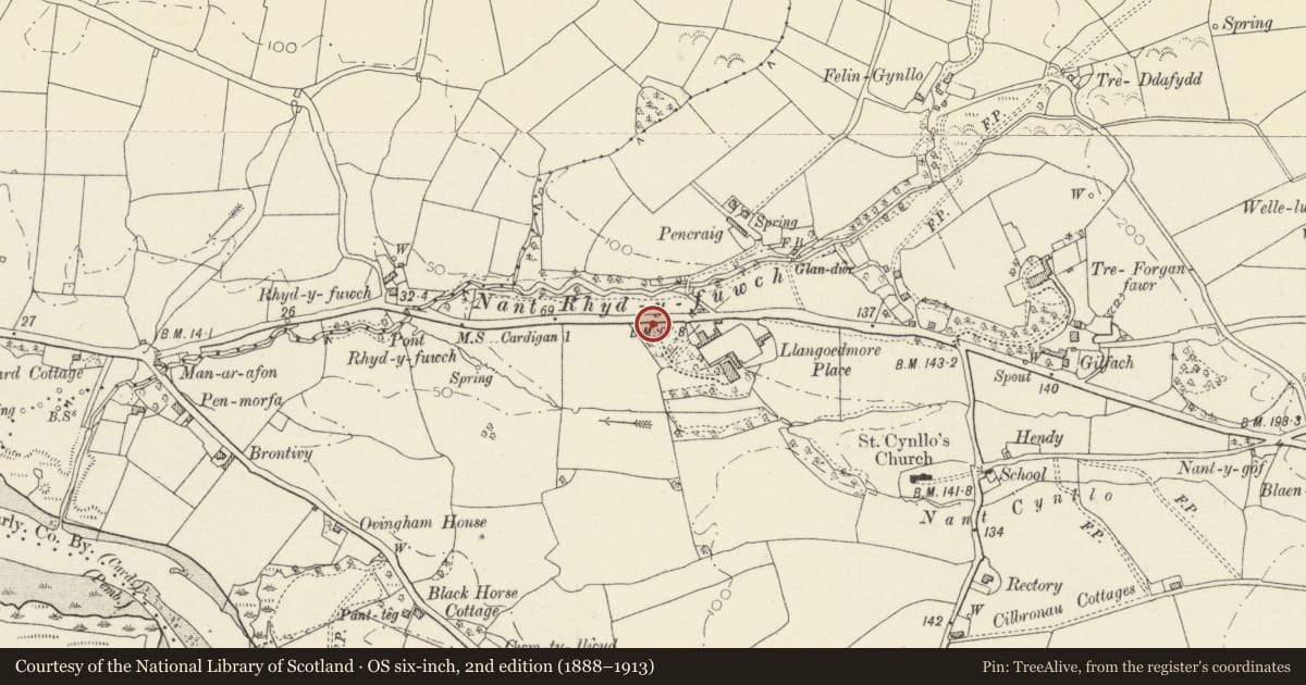 Ordnance Survey six-inch map, 2nd edition (1888–1913) covering the location of Gatepiers and Flanking Railings to Driveway at Plas Llangoedmor, Ceredigion, with a pin at the register's coordinates