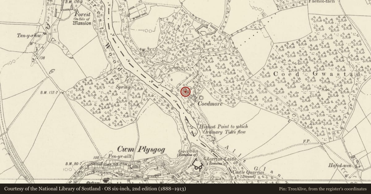 Ordnance Survey six-inch map, 2nd edition (1888–1913) covering the location of Coedmore, Llangoedmor, Ceredigion, with a pin at the register's coordinates