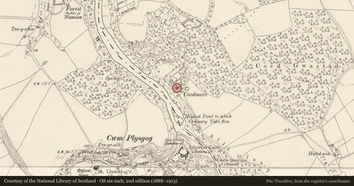 Ordnance Survey six-inch map, 2nd edition (1888–1913) covering the location of U-Plan Service Court Ranges, Llangoedmor, Ceredigion, with a pin at the register's coordinates