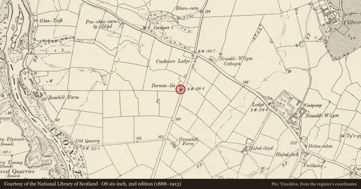 Ordnance Survey six-inch map, 2nd edition (1888–1913) covering the location of Derwenlas, Llangoedmor, Ceredigion, with a pin at the register's coordinates