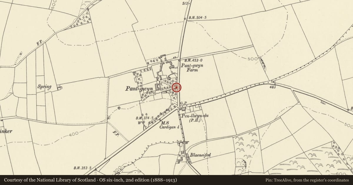 Ordnance Survey six-inch map, 2nd edition (1888–1913) covering the location of Gatepiers and Railings at driveway entrance to Pantgwyn, Llangoedmor, Ceredigion, with a pin at the register's coordinates
