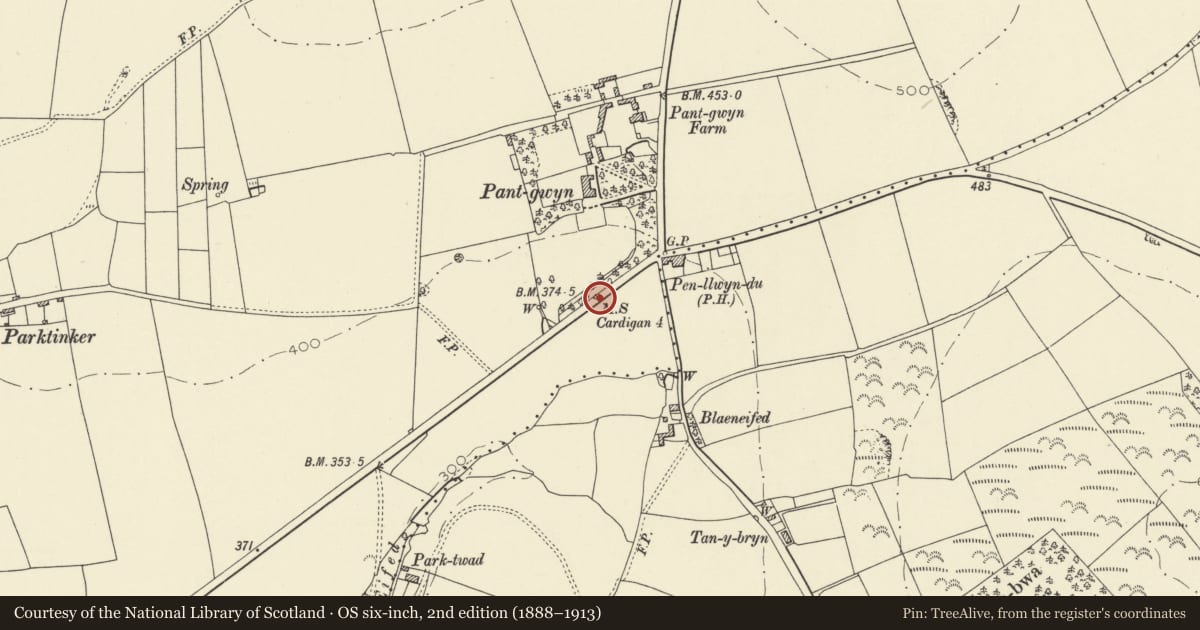 Ordnance Survey six-inch map, 2nd edition (1888–1913) covering the location of Milestone by roadside to W of Penllwyndu Inn, Llangoedmor, Ceredigion, with a pin at the register's coordinates
