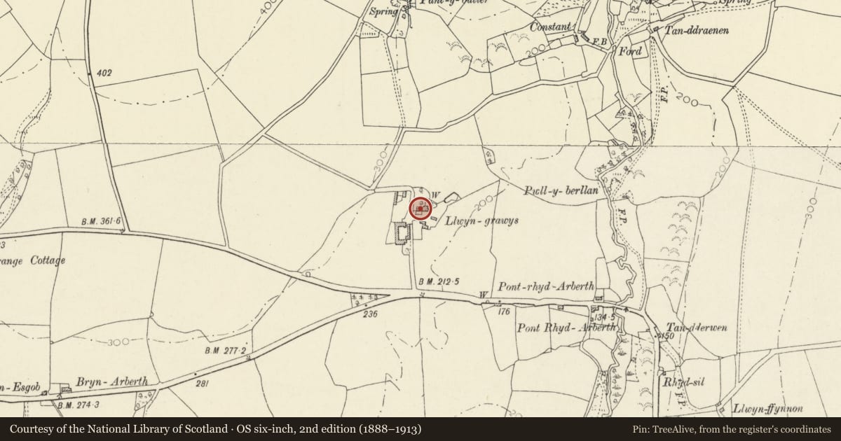 Ordnance Survey six-inch map, 2nd edition (1888–1913) covering the location of Llwyngrawys, Llangoedmor, Ceredigion, with a pin at the register's coordinates