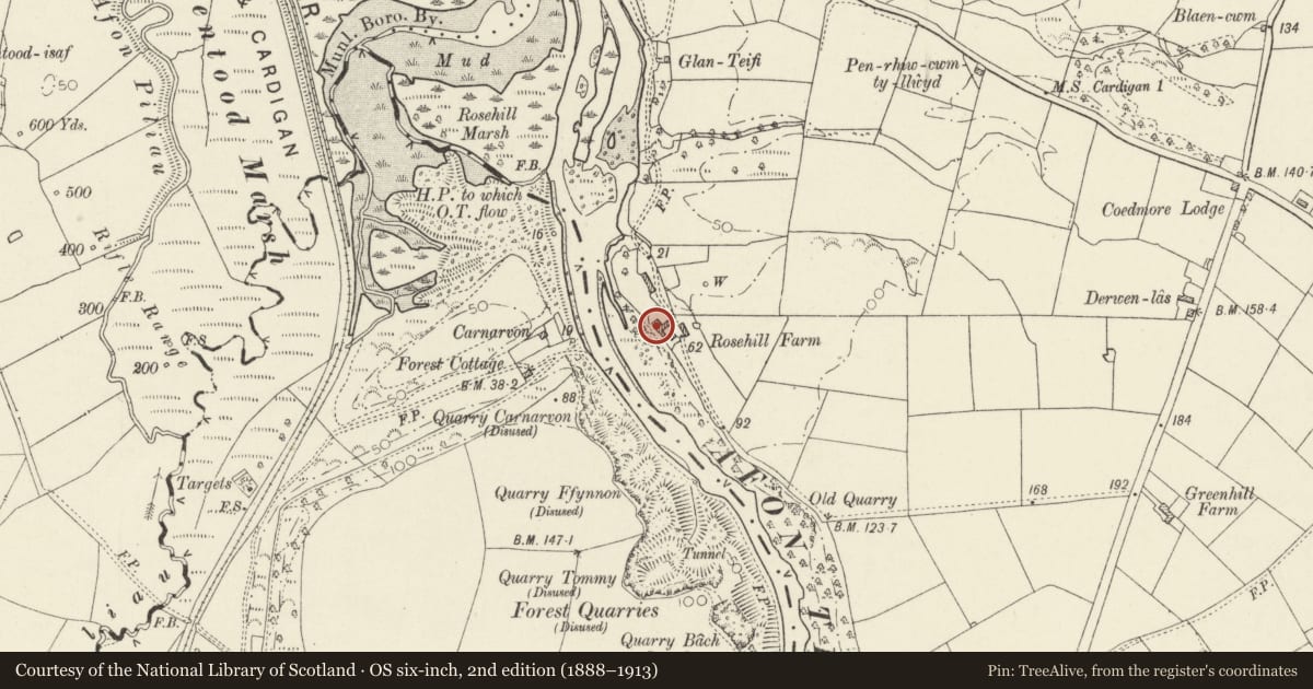 Ordnance Survey six-inch map, 2nd edition (1888–1913) covering the location of RoseHill, Llangoedmor, Ceredigion, with a pin at the register's coordinates