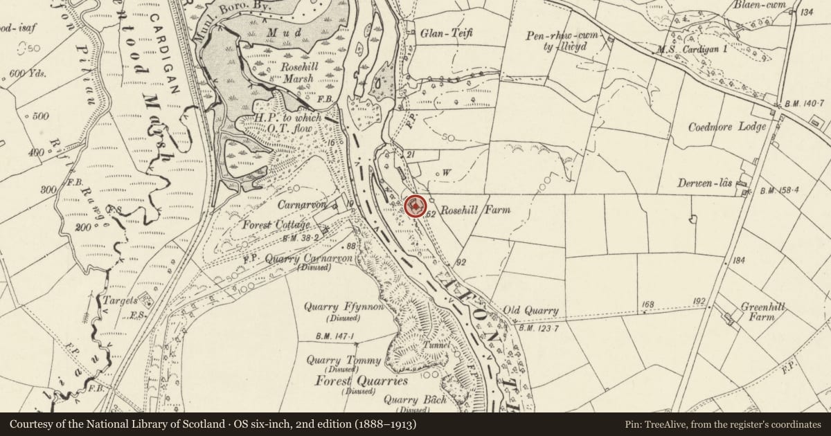 Ordnance Survey six-inch map, 2nd edition (1888–1913) covering the location of Outbuildings S of Rosehill, Llangoedmor, Ceredigion, with a pin at the register's coordinates