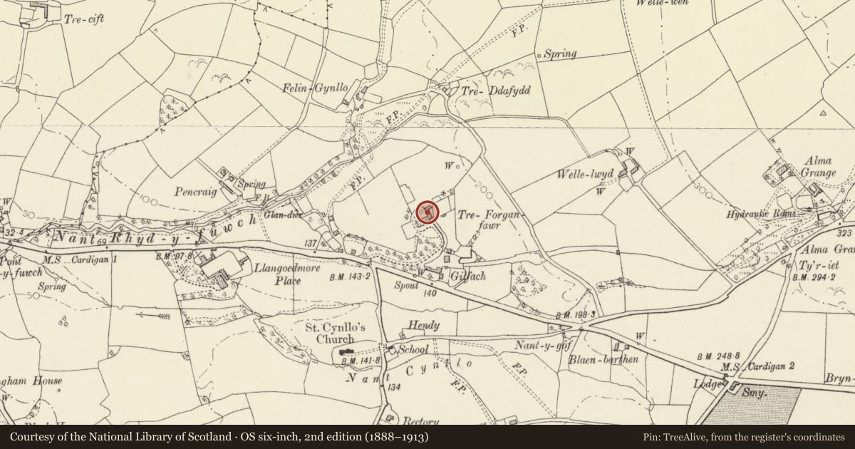 Ordnance Survey six-inch map, 2nd edition (1888–1913) covering the location of Outbuilding range attached to NW of Treforgan, Llangoedmor, Ceredigion, with a pin at the register's coordinates