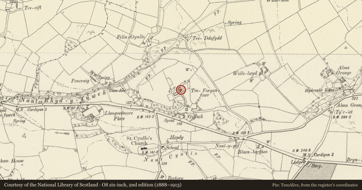 Ordnance Survey six-inch map, 2nd edition (1888–1913) covering the location of Walled Garden at Treforgan, Llangoedmor, Ceredigion, with a pin at the register's coordinates