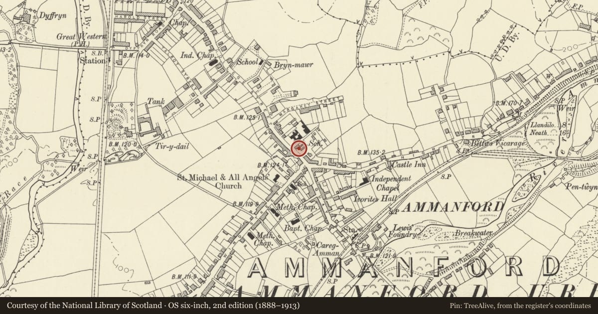 Ordnance Survey six-inch map, 2nd edition (1888–1913) covering the location of The Arcade, Ammanford, Carmarthenshire, with a pin at the register's coordinates