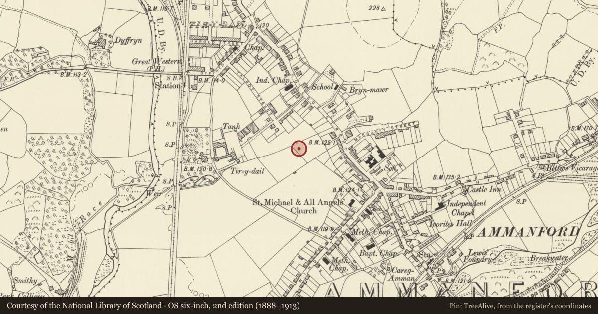 Ordnance Survey six-inch map, 2nd edition (1888–1913) covering the location of Entry Gates and Piers to Ammanford Park, Carmarthenshire, with a pin at the register's coordinates