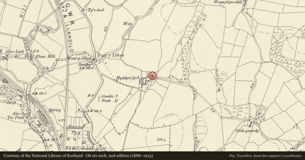 Ordnance Survey six-inch map, 2nd edition (1888–1913) covering the location of Myddynfych, Ammanford, Carmarthenshire, with a pin at the register's coordinates