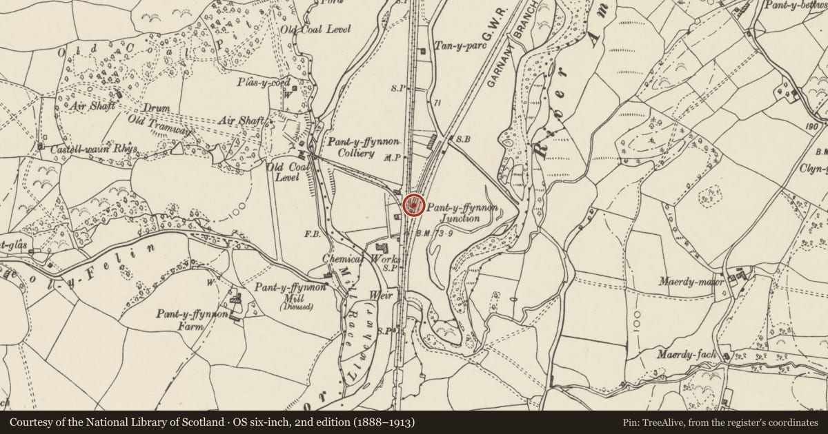 Ordnance Survey six-inch map, 2nd edition (1888–1913) covering the location of Pantyffynnon Station, Ammanford, Carmarthenshire, with a pin at the register's coordinates