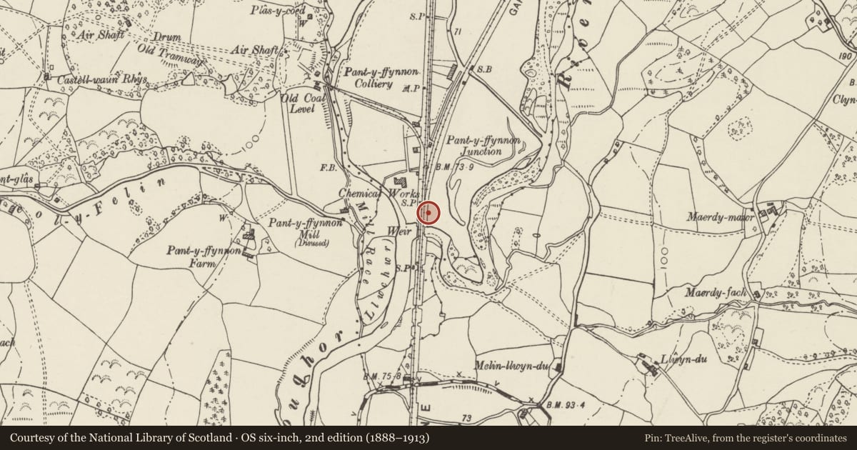 Ordnance Survey six-inch map, 2nd edition (1888–1913) covering the location of Pantyffynnon Signal Box, Ammanford, Carmarthenshire, with a pin at the register's coordinates