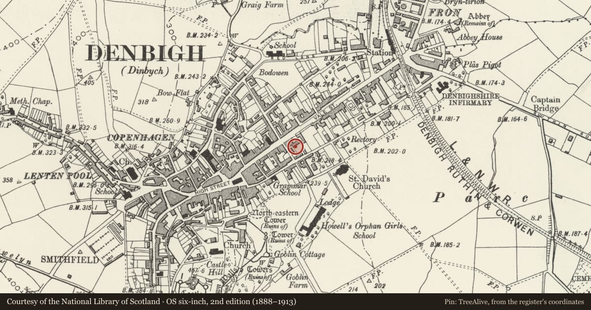Ordnance Survey six-inch map, 2nd edition (1888–1913) covering the location of Garden Wall to rear of No.44 Vale Street, on E, W and S Sides, Denbigh, Denbighshire, with a pin at the register's coordinates
