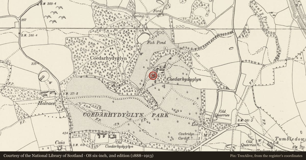 Ordnance Survey six-inch map, 2nd edition (1888–1913) covering the location of Coedarhydyglyn including attached outbuildings at rear, St. Georges-super-Ely, Vale of Glamorgan, with a pin at the register's coordinates