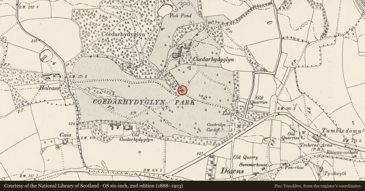 Ordnance Survey six-inch map, 2nd edition (1888–1913) covering the location of Gate and gatepiers midway along S drive at Coedarhydyglyn, St. Georges-super-Ely, Vale of Glamorgan, with a pin at the register's coordinates