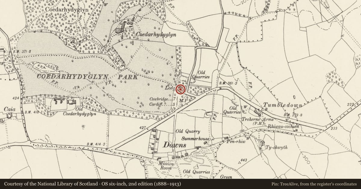 Ordnance Survey six-inch map, 2nd edition (1888–1913) covering the location of Gate and gatepiers beside South Lodge at Coedarhydyglyn, St. Georges-super-Ely, Vale of Glamorgan, with a pin at the register's coordinates