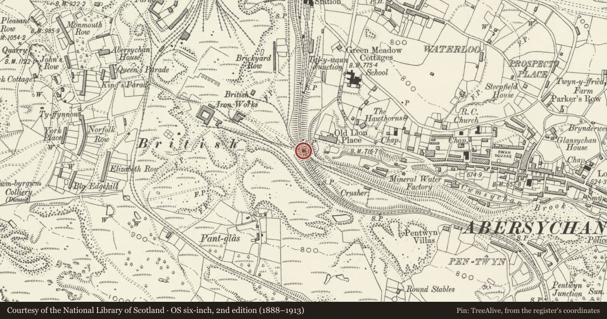 Ordnance Survey six-inch map, 2nd edition (1888–1913) covering the location of The Big Arch, Abersychan, Torfaen, with a pin at the register's coordinates
